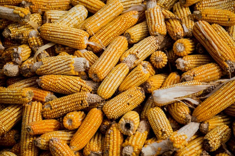 Cooperatives and farmer groups—VSLA digitization, aggregation, and shared transport