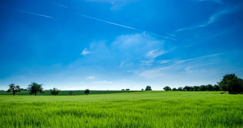 Smallholder farmers and agriculture—market access, Agri-Trade, and rural livelihoods