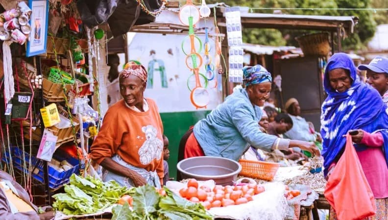 Kenyan agricultural products and agrifood—local context and impact